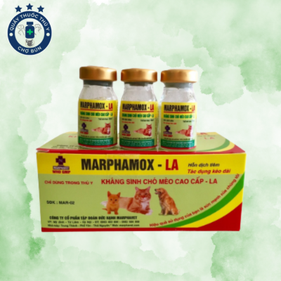 marphamox thuốc thú y chợ bún 🐶🐱 Thuốc kháng sinh MARPHAMOX – LA Cho Chó Mèo | Thuốc Thú Y Chợ Bún